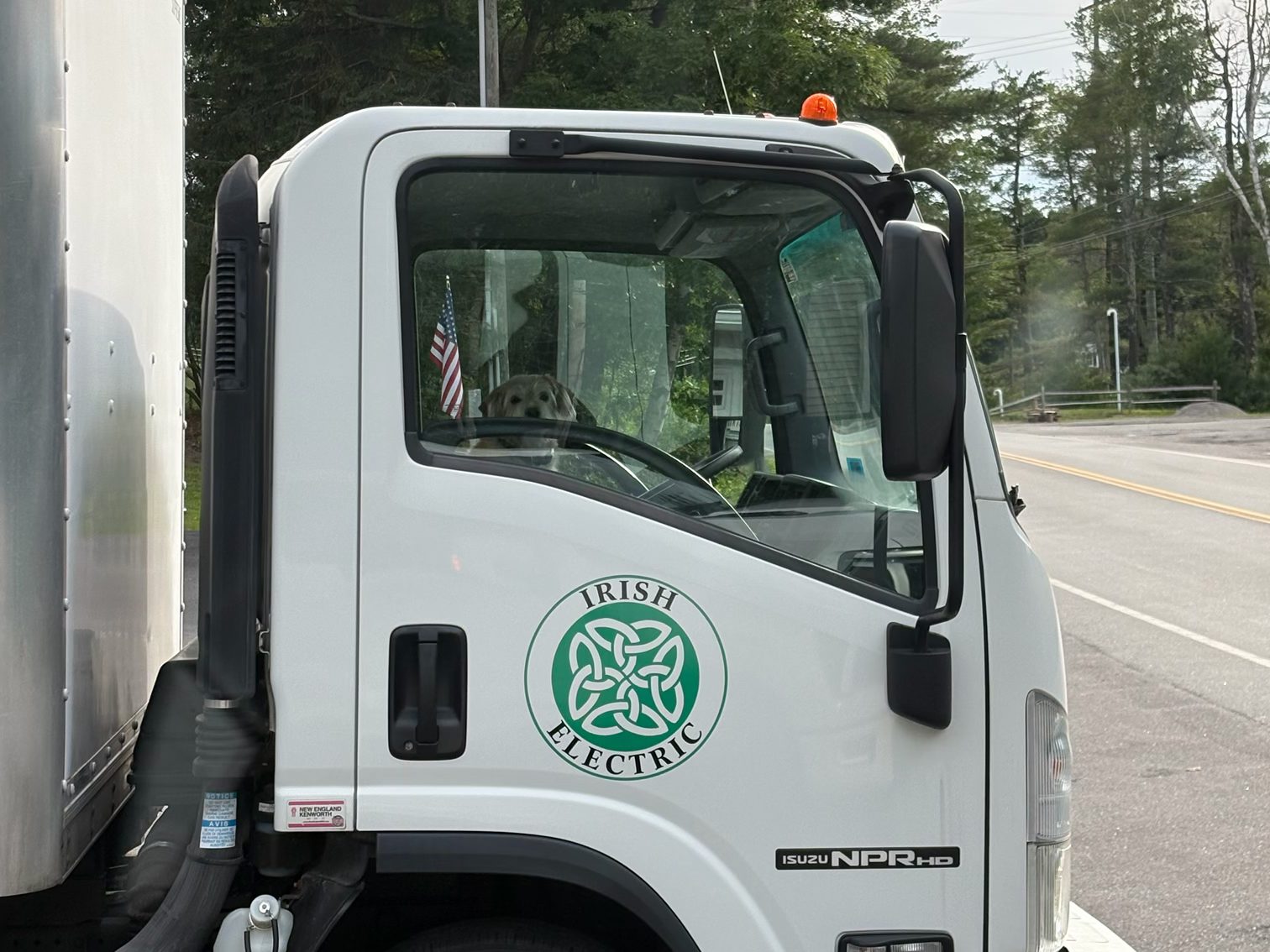 Irish Electric box truck with the green Celtic knot logo on the cab door and a dog sitting in the driver's seat